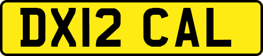 DX12CAL