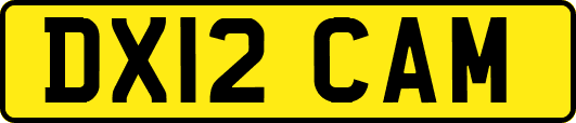 DX12CAM