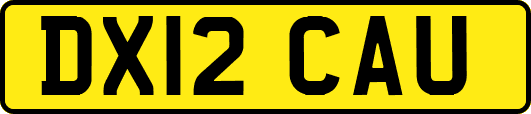 DX12CAU
