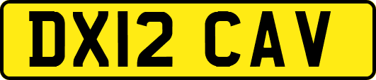 DX12CAV