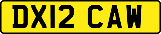 DX12CAW