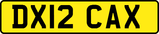 DX12CAX