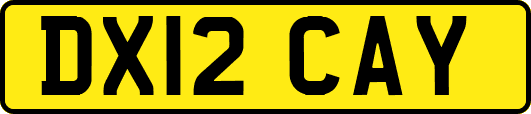 DX12CAY