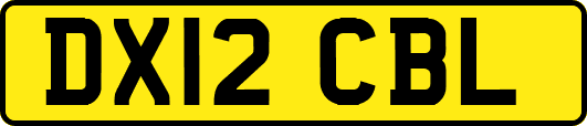 DX12CBL