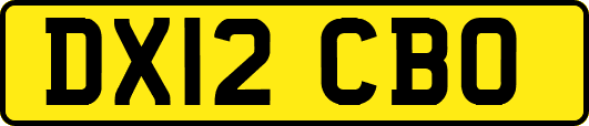 DX12CBO