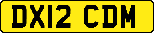 DX12CDM
