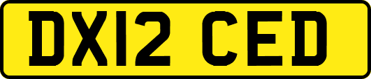 DX12CED
