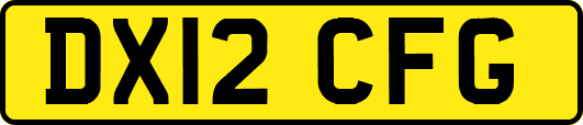 DX12CFG