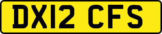 DX12CFS