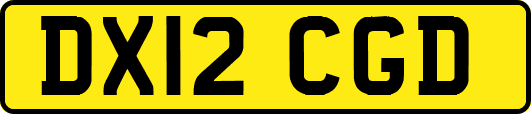 DX12CGD