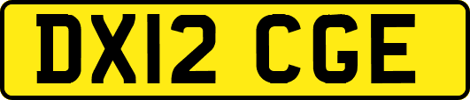 DX12CGE
