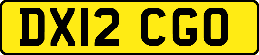 DX12CGO