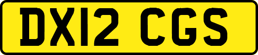 DX12CGS