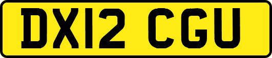 DX12CGU
