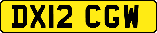 DX12CGW