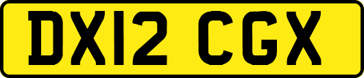 DX12CGX