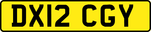 DX12CGY