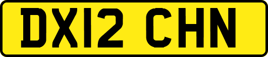 DX12CHN