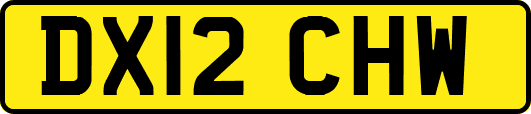DX12CHW