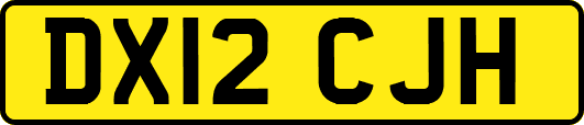 DX12CJH