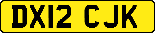 DX12CJK