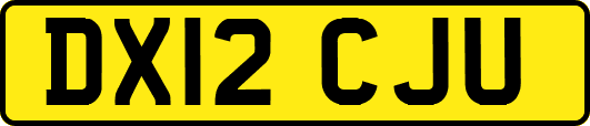 DX12CJU
