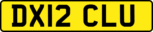 DX12CLU
