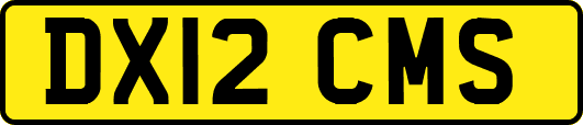 DX12CMS