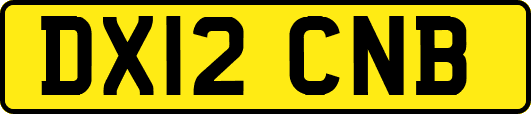 DX12CNB