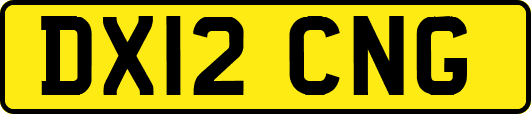 DX12CNG
