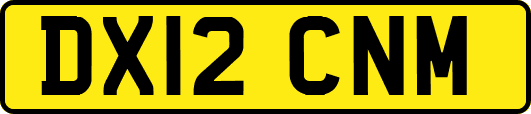 DX12CNM
