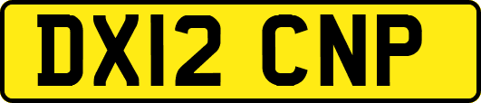 DX12CNP