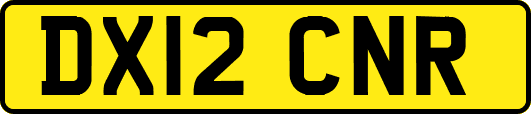DX12CNR