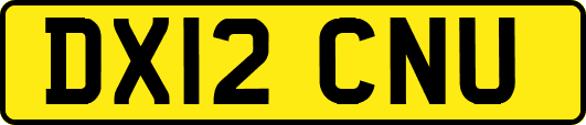 DX12CNU