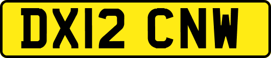 DX12CNW