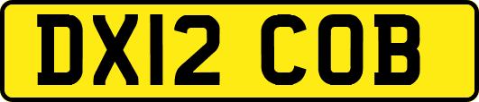 DX12COB