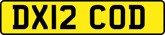 DX12COD