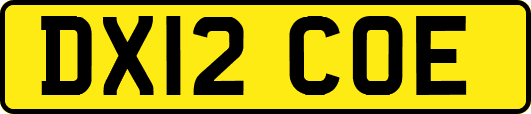 DX12COE