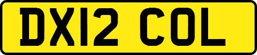 DX12COL