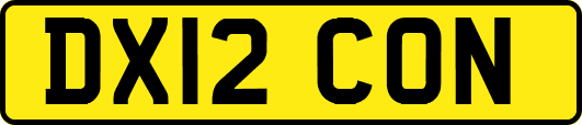 DX12CON