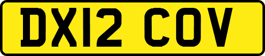 DX12COV