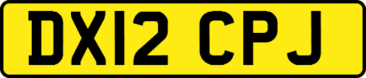 DX12CPJ