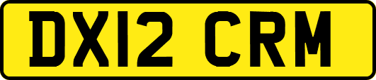 DX12CRM
