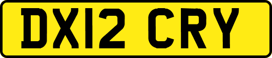 DX12CRY