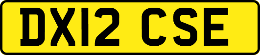 DX12CSE
