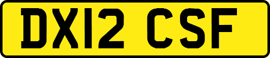 DX12CSF
