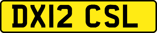 DX12CSL