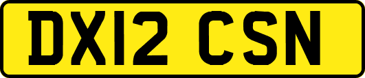 DX12CSN