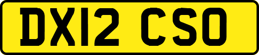 DX12CSO