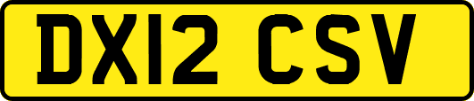 DX12CSV
